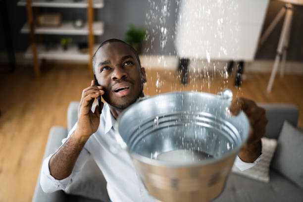 Water damage restoration insurance claims in Alamo, CA