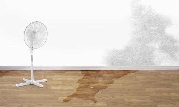 Best Ceiling water damage repair  in Alamo, CA